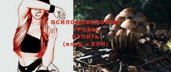 спайс Волоколамск